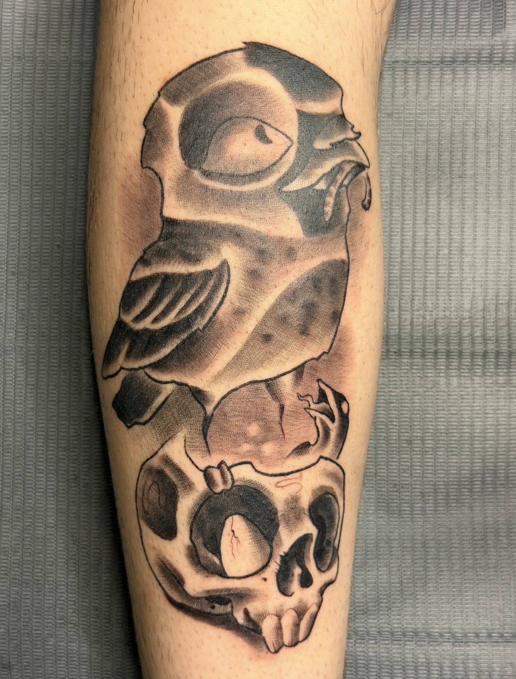 Black and grey owl perched above a skull, totem style