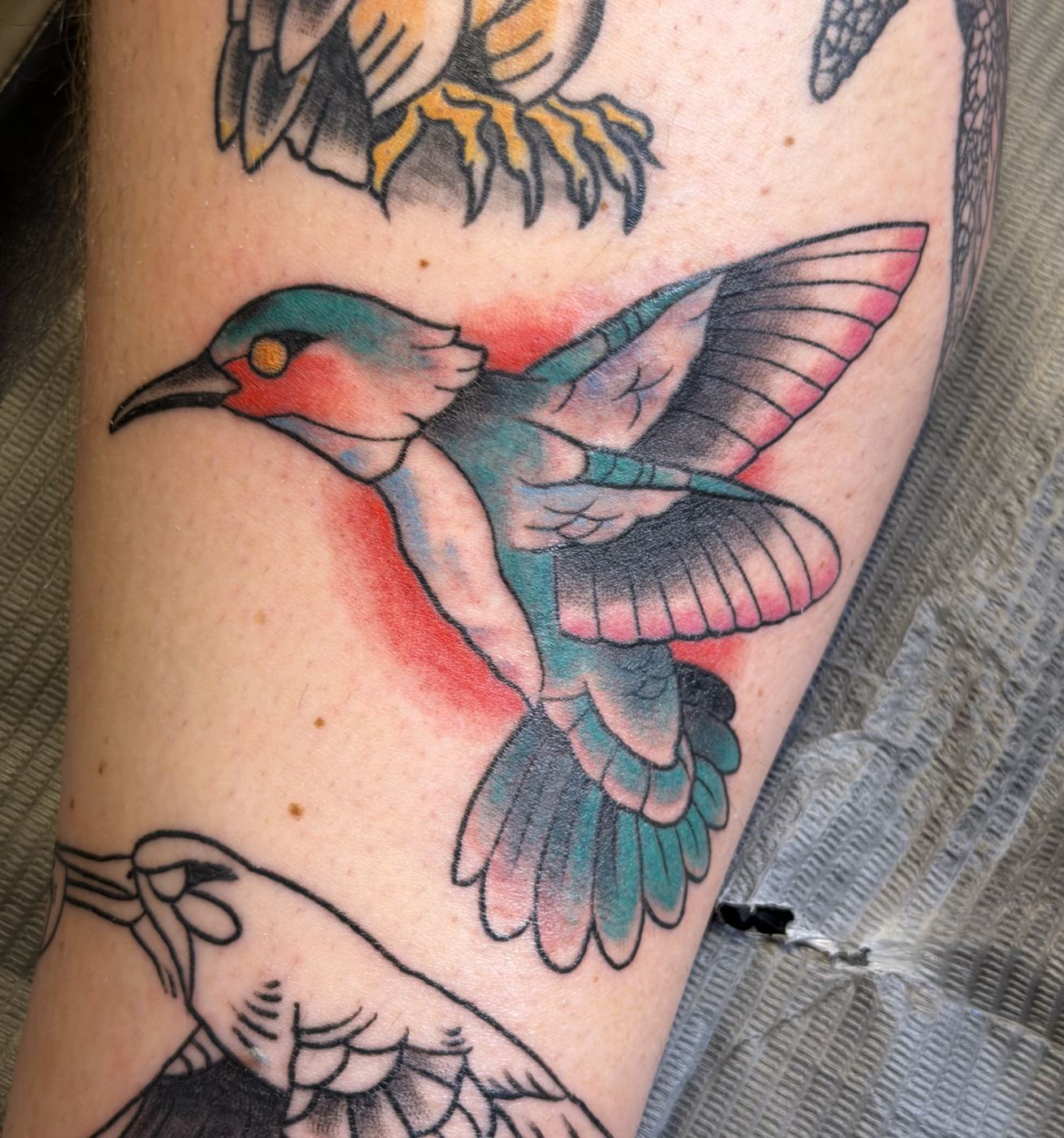 Color swallow tattoo with teal and pink wings
