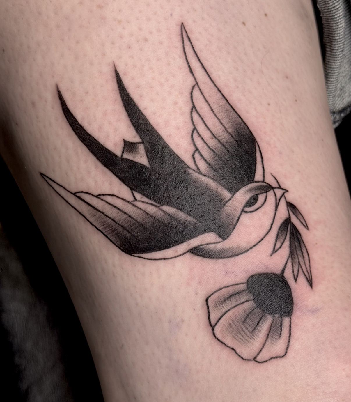 Black and grey swallow tattoo carrying a flower and olive branch