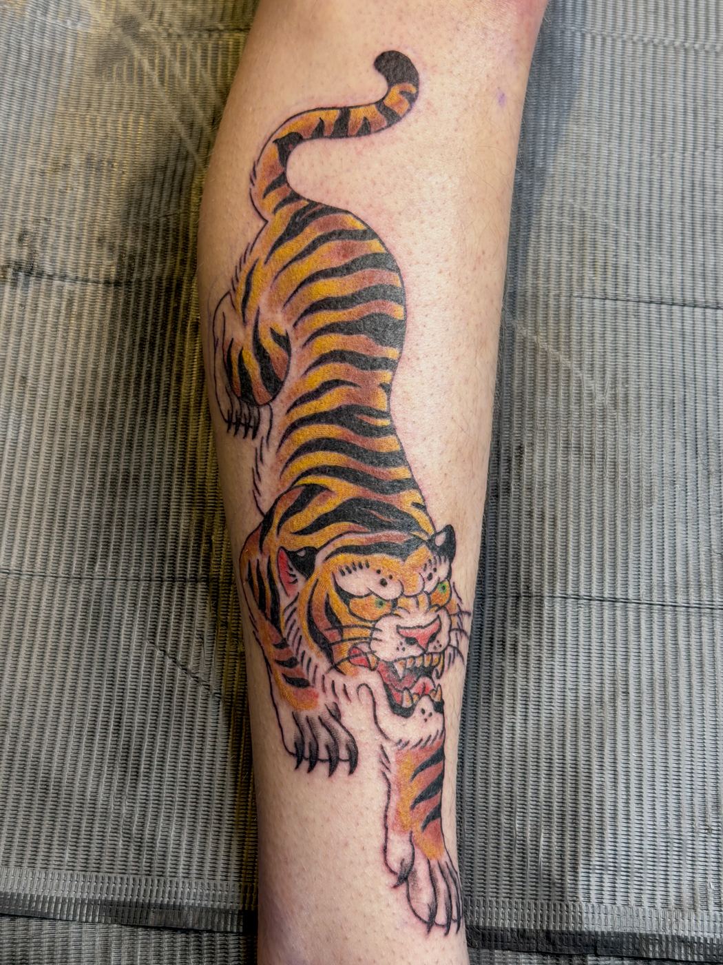 Color tiger tattoo prowling down the leg